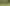 Was macht das beste E-MTB aus?